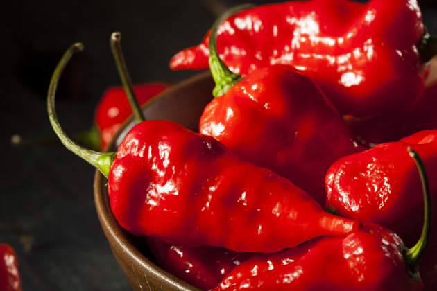 5-hot-and-spicy-foods-from-around-the-world-trip-sense-tripcentral-ca